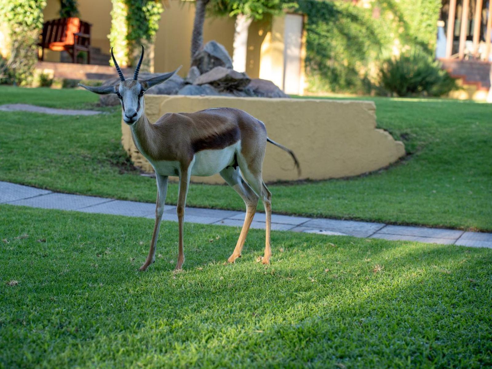 Sunriver Kalahari Lodge Riverside Stay In Апингтон Экстерьер фото